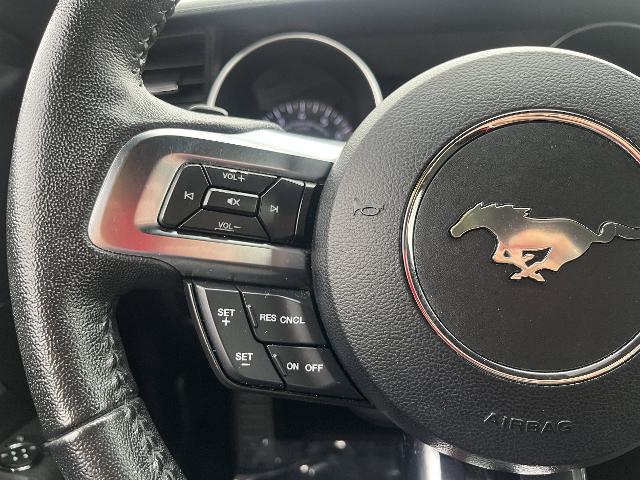 2019 Ford Mustang EcoBoost