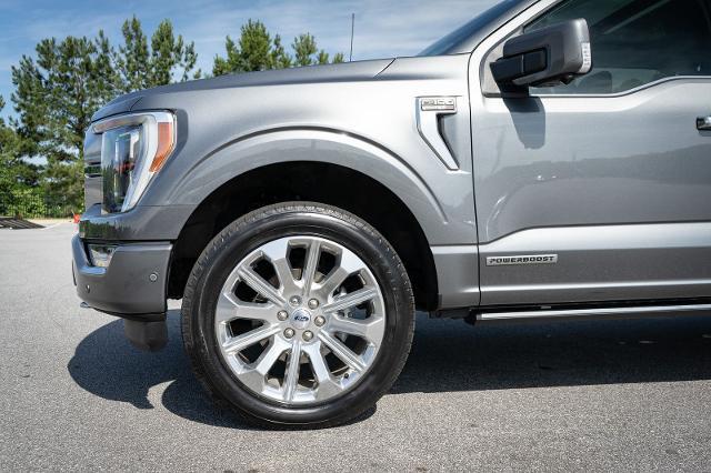 2023 Ford F-150 Limited