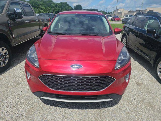 2022 Ford Escape SEL for sale in Bardstown, KY