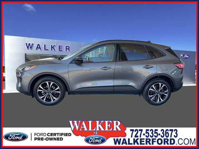 2022 Ford Escape SE for sale in Clearwater, FL