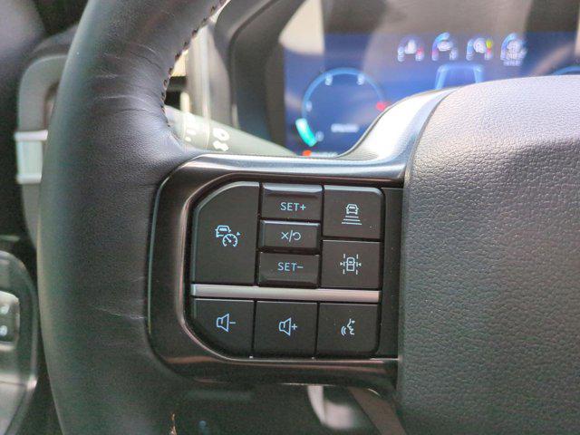 2024 Ford F-250 Platinum