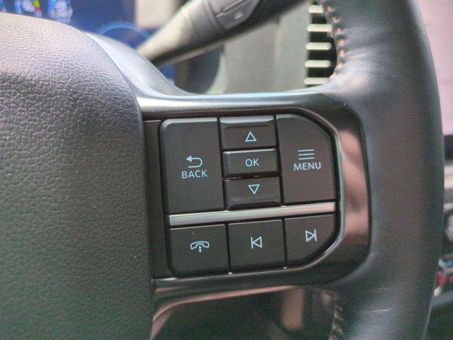 2024 Ford F-250 Platinum