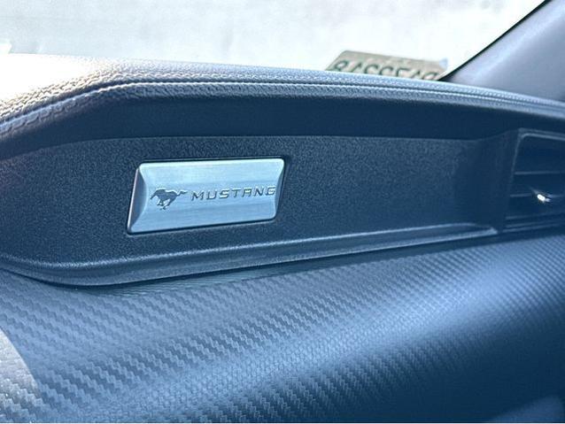 2023 Ford Mustang EcoBoost Fastback