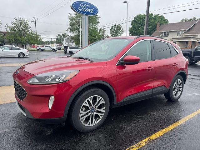 2021 Ford Escape SEL for sale in Celina, OH