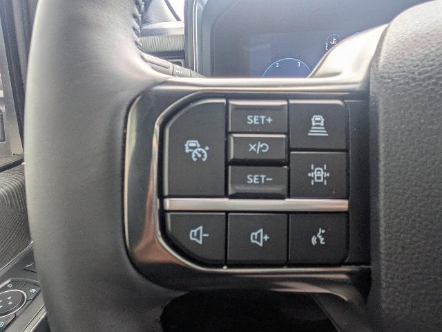 2025 Ford F-350 Platinum