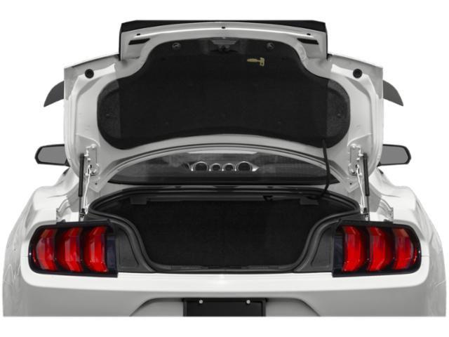 2021 Ford Mustang Mach 1 Fastback