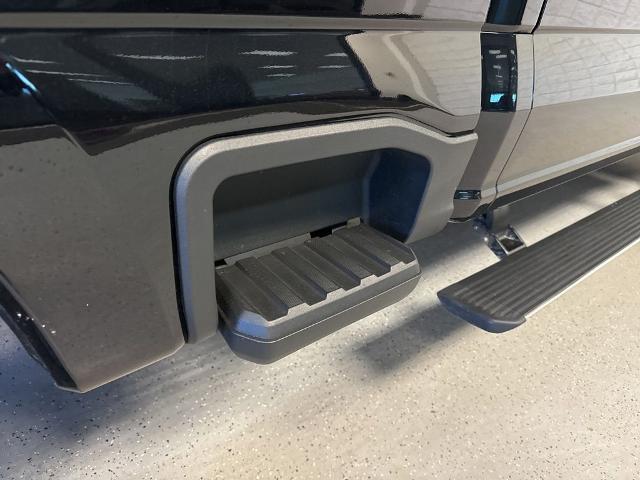 2024 Ford F-250 Platinum
