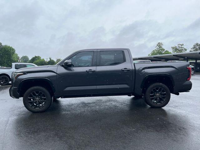 2022 Toyota Tundra Platinum