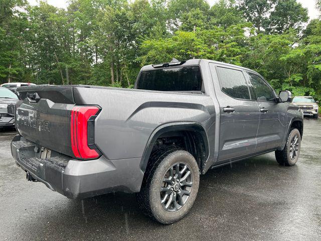 2022 Toyota Tundra Platinum