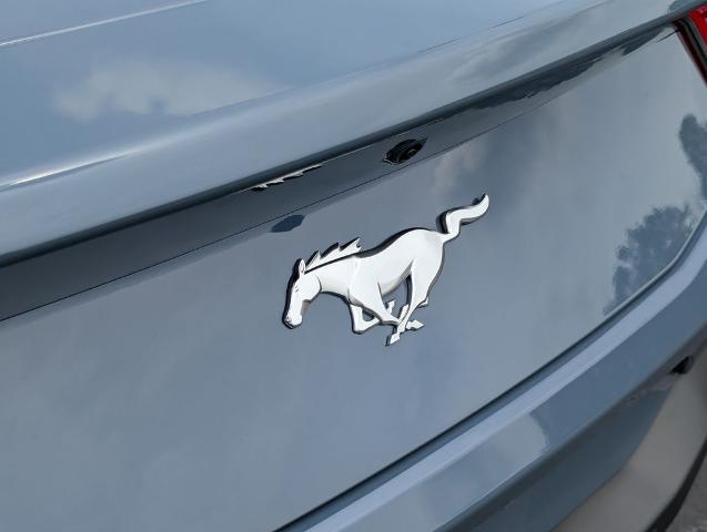 2025 Ford Mustang EcoBoost Fastback