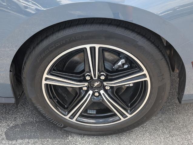 2025 Ford Mustang EcoBoost Fastback