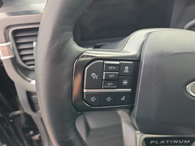 2024 Ford F-350 Platinum