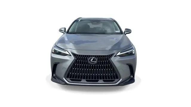 2024 Lexus NX NX 250
