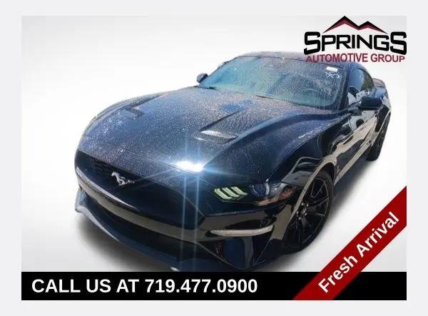 2022 Ford Mustang EcoBoost Fastback for sale in Colorado Springs, CO