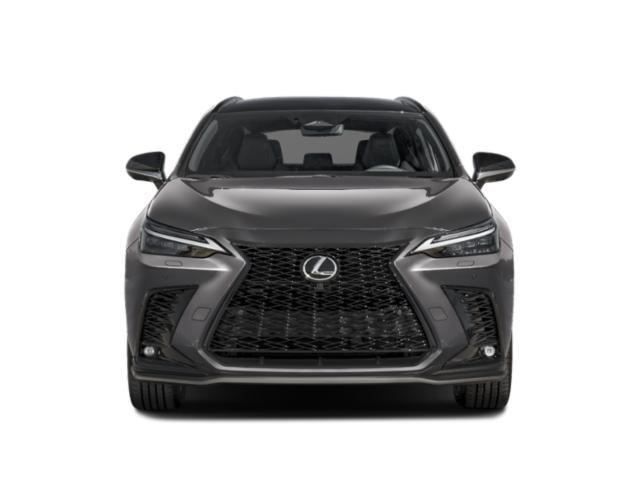 2026 Lexus NX Luxury