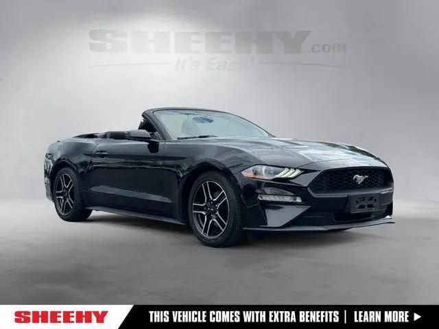 2019 Ford Mustang EcoBoost Premium for sale in Springfield, VA