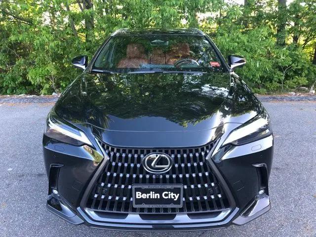 2026 Lexus NX Luxury
