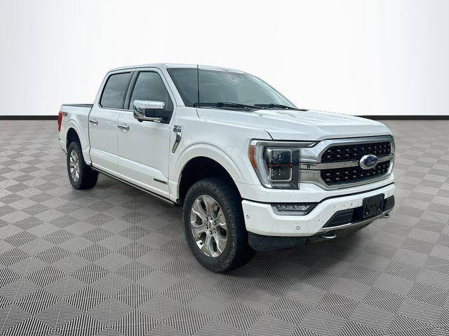 2023 Ford F-150 Platinum 4x4 SuperCrew 5-1/2 Box's photo