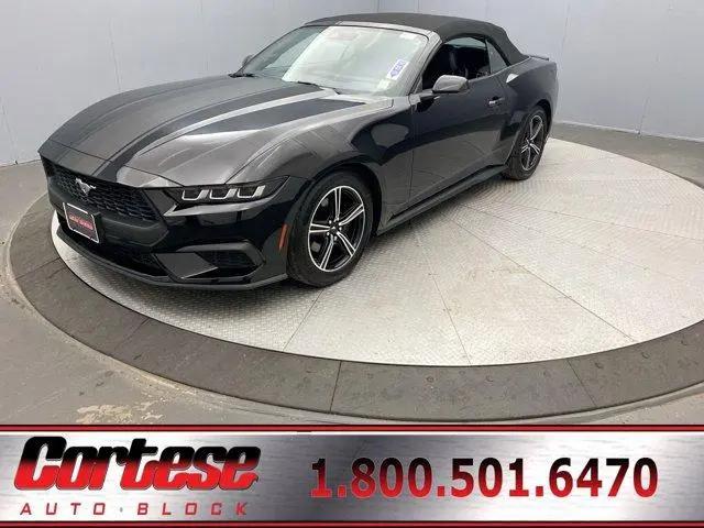 2024 Ford Mustang EcoBoost Premium Convertible for sale in Rochester, NY