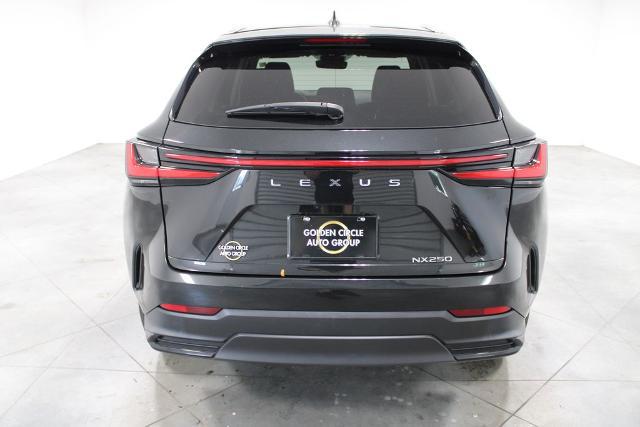 2024 Lexus NX Base