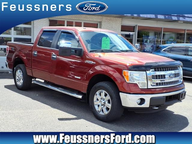 2014 Ford F-150 XLT for sale in Freeland, PA