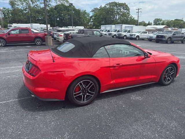2019 Ford Mustang EcoBoost Premium