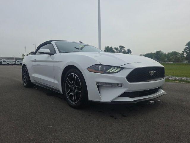 2019 Ford Mustang EcoBoost Premium for sale in Plainfield, IN
