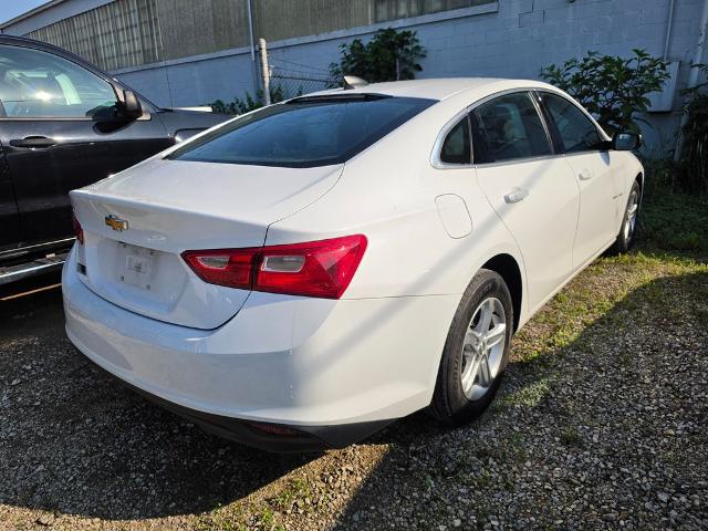 2019 Chevrolet Malibu 1LS
