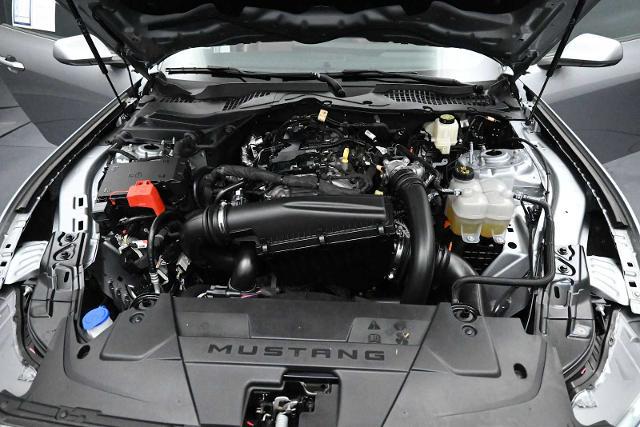 2024 Ford Mustang EcoBoost Premium Fastback