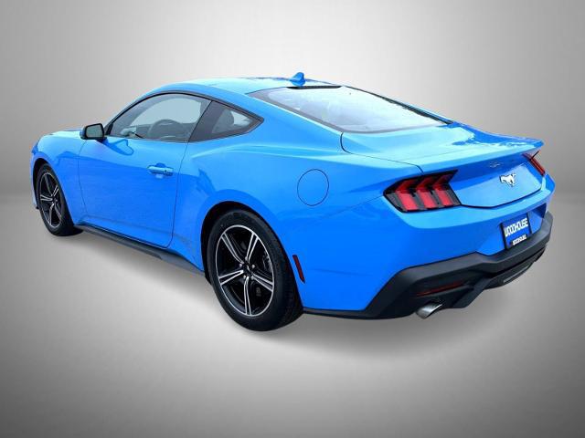 2024 Ford Mustang EcoBoost Premium Fastback