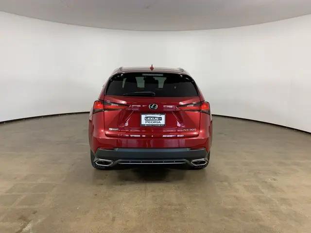 2019 Lexus NX 300 F SPORT