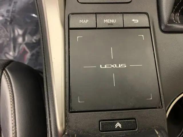 2019 Lexus NX 300 F SPORT