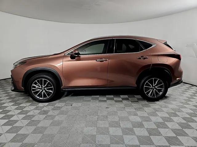 2025 Lexus NX Premium