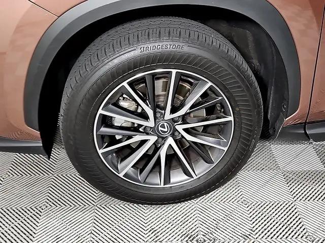 2025 Lexus NX Premium