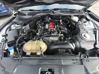 2022 Ford Mustang EcoBoost Premium Convertible