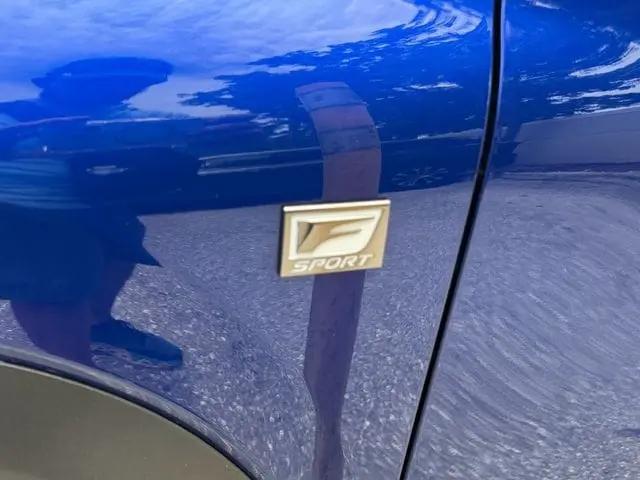 2019 Lexus NX 300 F SPORT