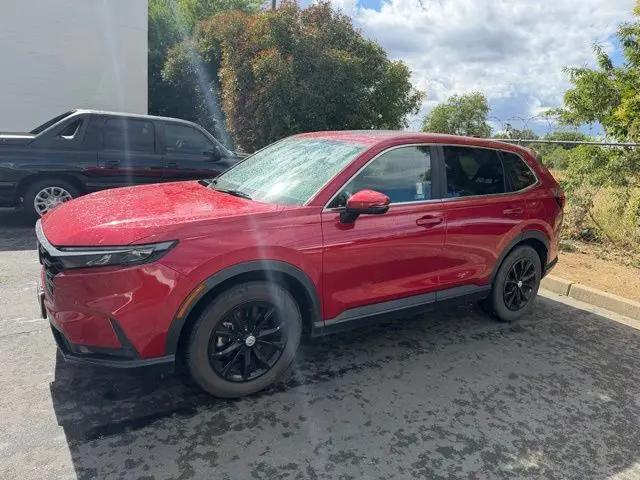 2024 Honda CR-V EX 2WD for sale in Yuba City, CA