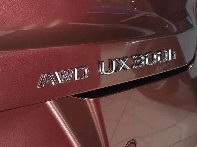 2026 Lexus 300 AWD