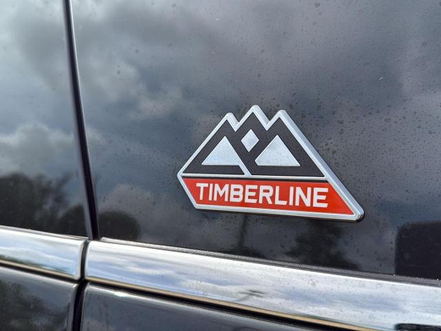 2023 Ford Expedition Timberline