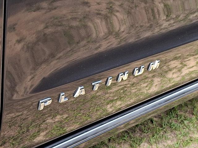 2021 Ford Expedition Platinum