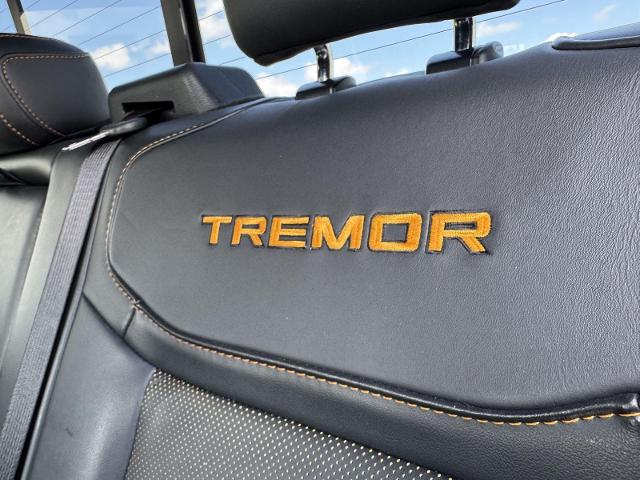 2022 Ford F-150 Tremor