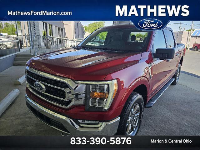 2021 Ford F-150 XLT for sale near Marion, OH