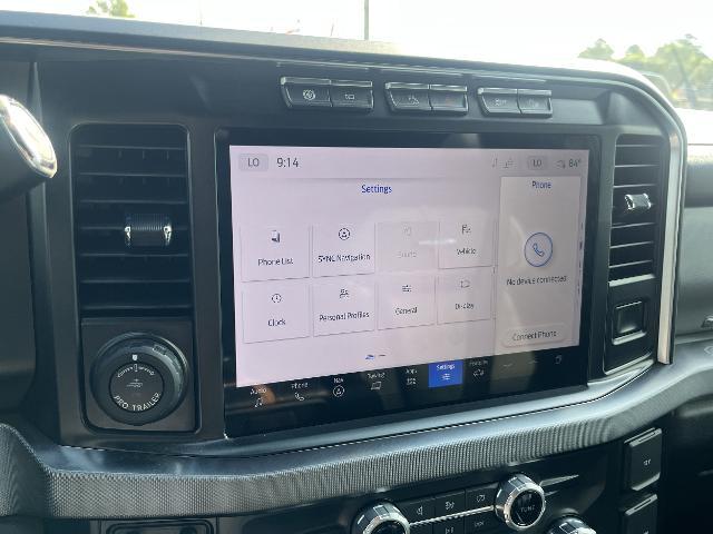2024 Ford F-250 Platinum