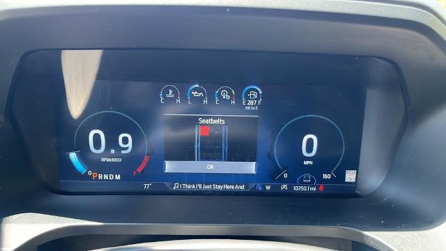2024 Ford Expedition Platinum
