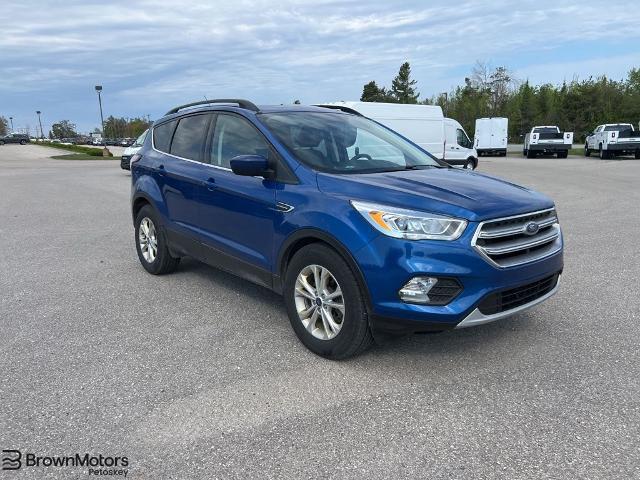 2017 Ford Escape SE for sale in Petoskey, MI
