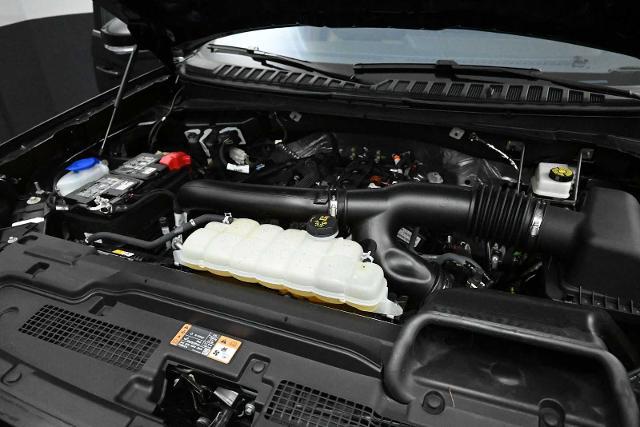 2025 Ford Expedition Active MAX