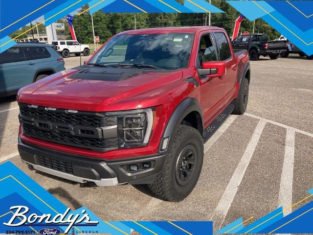 2023 Ford F-150 Raptor for sale in Dothan, AL