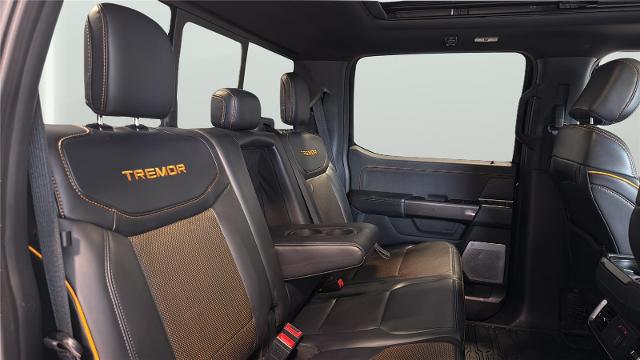2021 Ford F-150 Tremor
