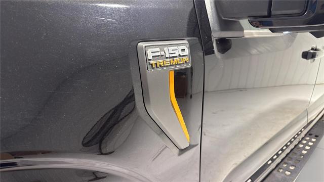 2021 Ford F-150 Tremor