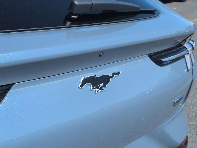 2023 Ford Mustang Mach-E California Route 1